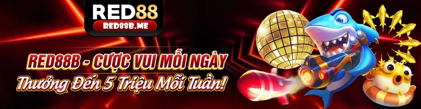 Hình ảnh minh họa tính năng tự loại trừ