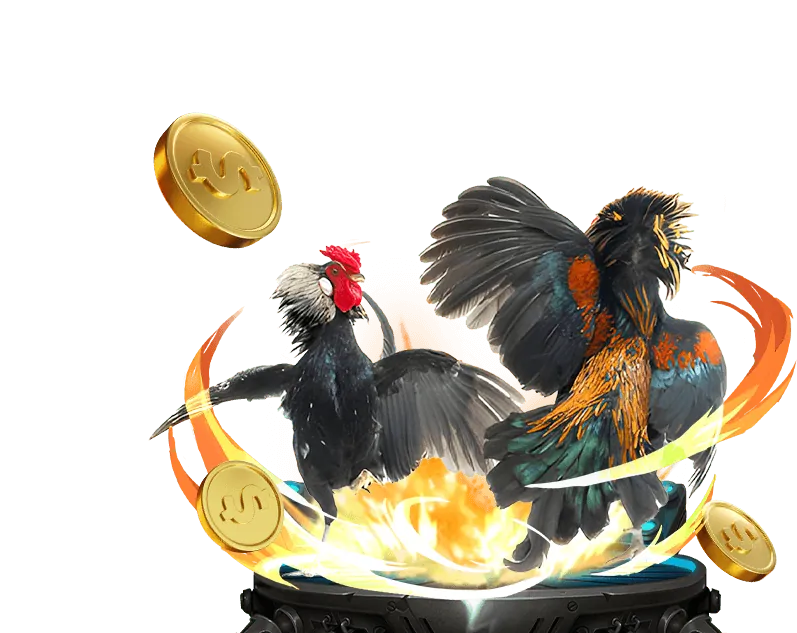 Ưu Đãi Hàng Ngày